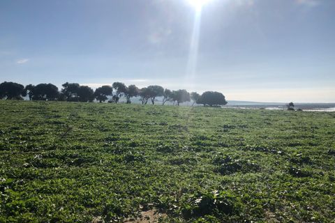 Terra a Barbate, Cadiz, Barbate - € 480.000 | Ref: vc 191 - foto 30